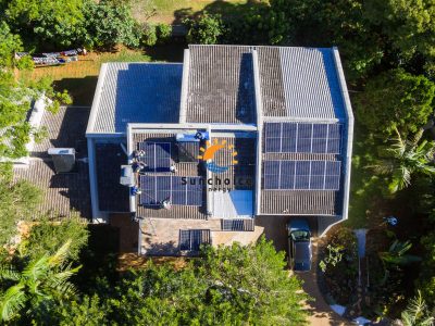 Kingdom Style Pictures-1-